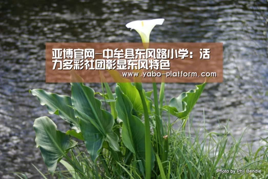亚博官网-中牟县东风路小学:活力多彩社团彰显东风特色(图2) 亚博官网