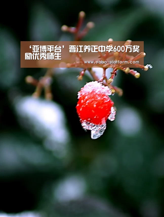 ‘亚博平台’晋江养正中学600万奖励优秀师生(图3) 亚博